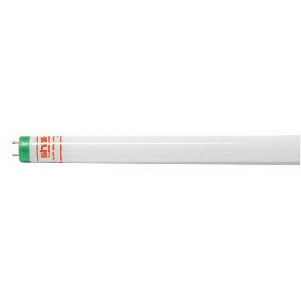 Shat-R-Shield 46516 T8 Straight Linear Fluorescent Lamp 32-Watt 2-Pin G13 Base 2600-Lumens 78 CRI 4100K 48-Inch Length Alto&reg;